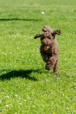 20250427_Zlatnicka_dolina_Gucci_Evka_Nika_Niko