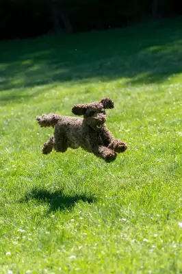 20250427_Zlatnicka_dolina_Gucci_Evka_Nika_Niko