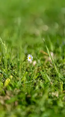 20250427_Zlatnicka_dolina_Gucci_Evka_Nika_Niko