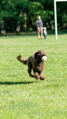 20250427_Zlatnicka_dolina_Gucci_Evka_Nika_Niko