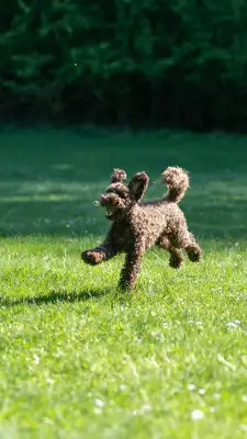 20250427_Zlatnicka_dolina_Gucci_Evka_Nika_Niko