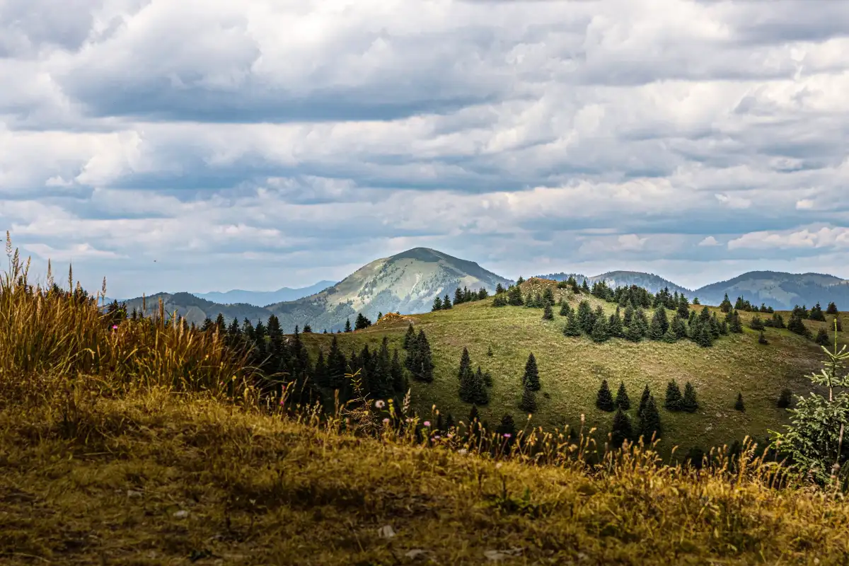 Summer mountain light – Donovaly, Slovakia – landscape photography – Jamelix.eu