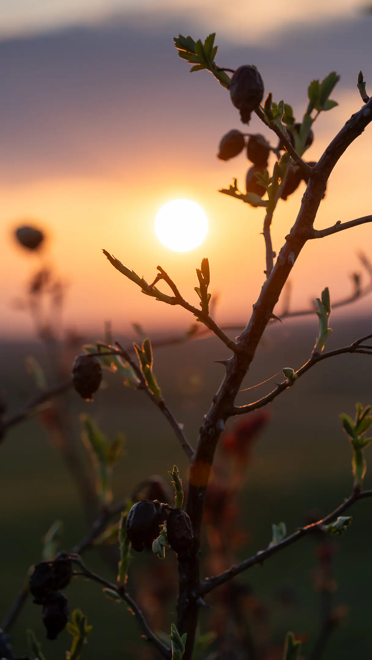 Krátke videá – creative short video concept – storytelling visual art – Jamelix.eu